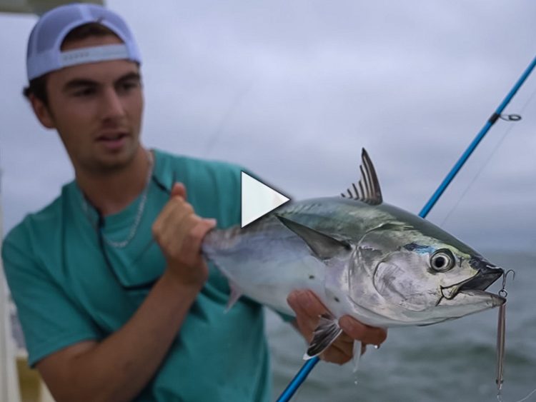 How to Fish Epoxy-Style Jigs for False Albacore