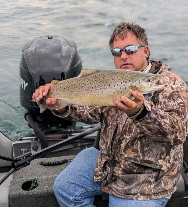 Scott Rohe brown trout