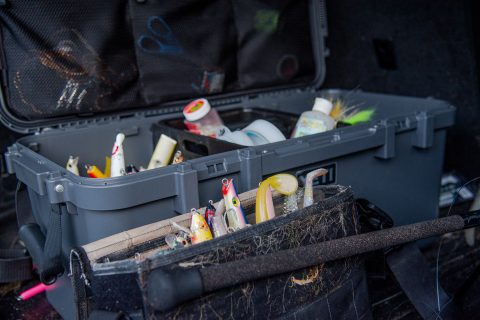 Essential Lures | Fall Run Survival Guide