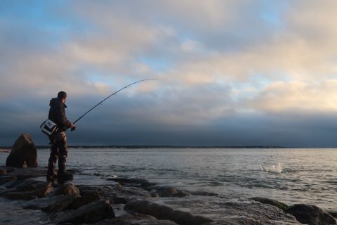 Stay Mobile or Stay Put | Fall Run Survival Guide