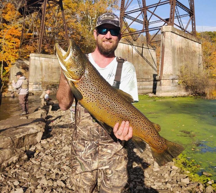Joe Pruitt brown trout