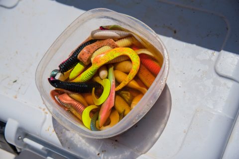 Best Berkley Gulp Colors for Fluke Fishing