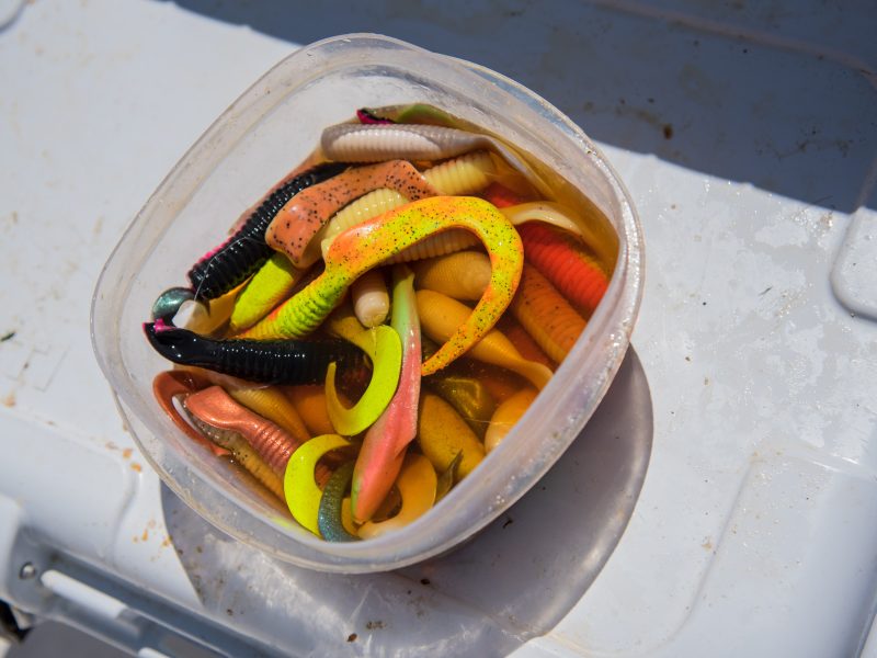 Best Berkley Gulp Colors for Fluke Fishing - On The Water