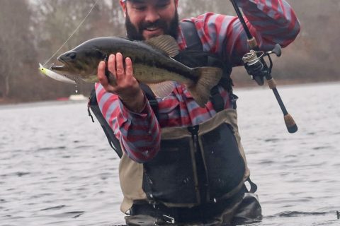 How To Improve a Jerkbait by Changing the Split Rings