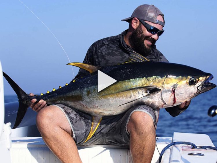 Popping for Yellowfin Tuna