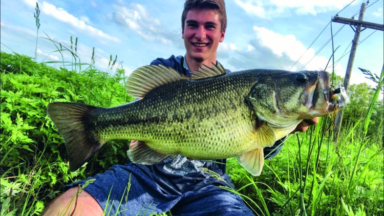 WHITE BASS RUN Big Fish on the Rooster Tail 