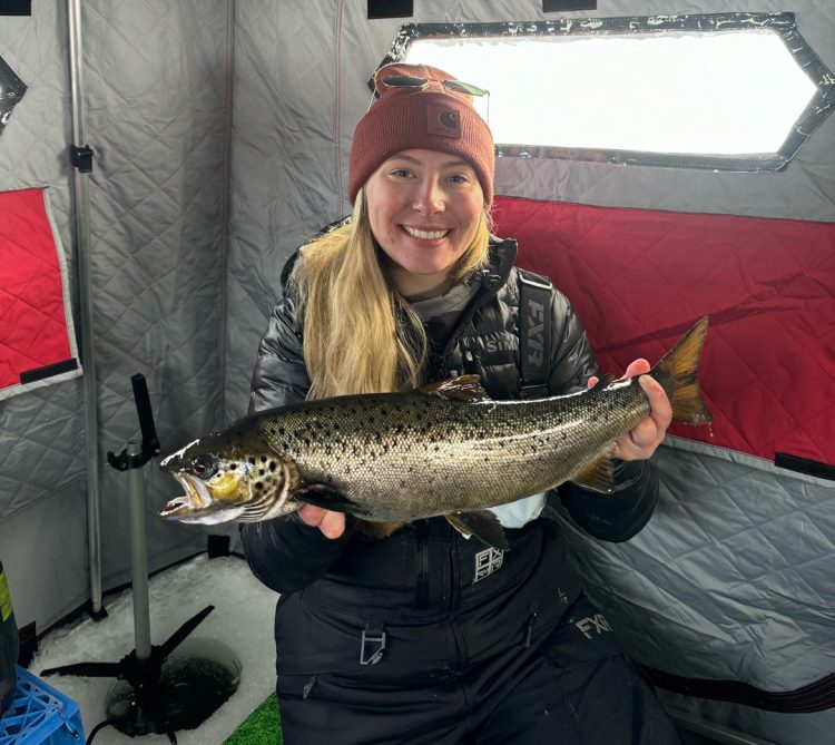 Landlocked salmon
