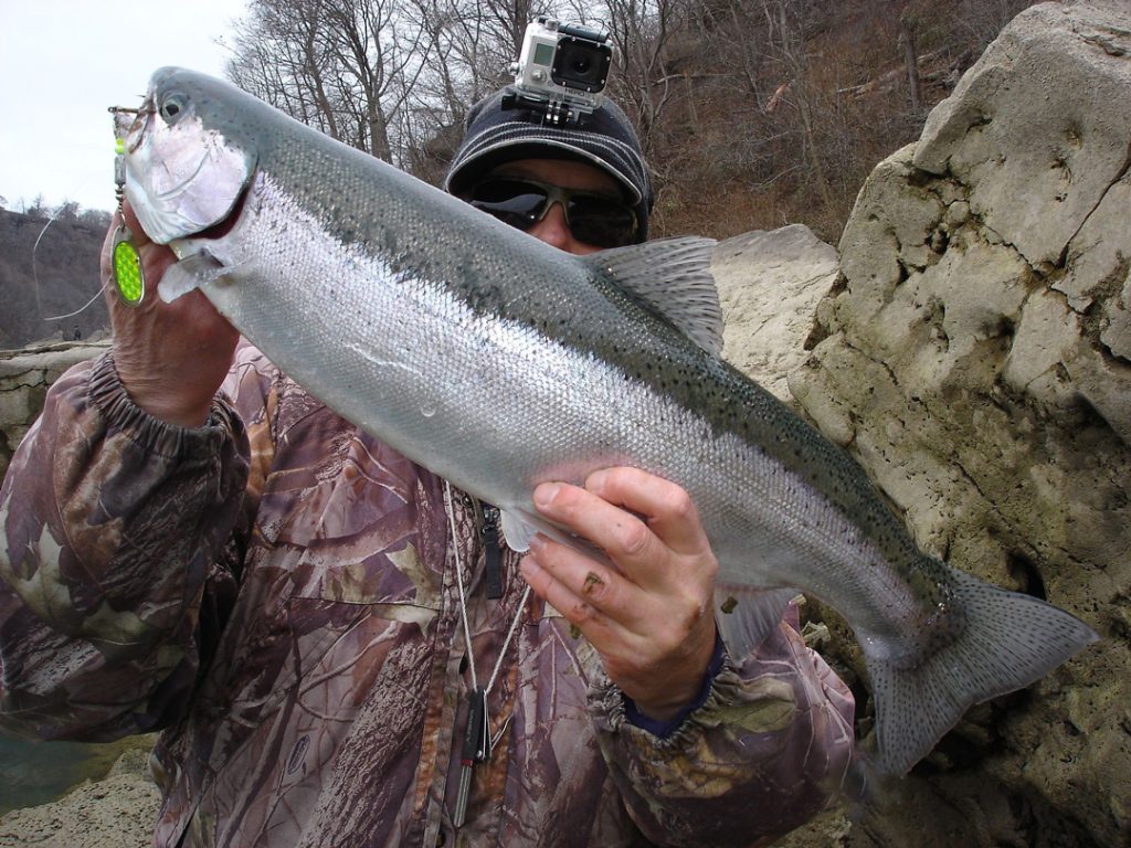 Mike Rzucidlo steelhead
