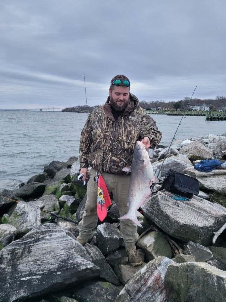 Maryland & Chesapeake Bay Fishing Report- April 4, 2024 - On The Water