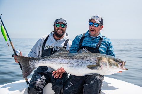 Metal Lip Swimmers for Giant Striped Bass