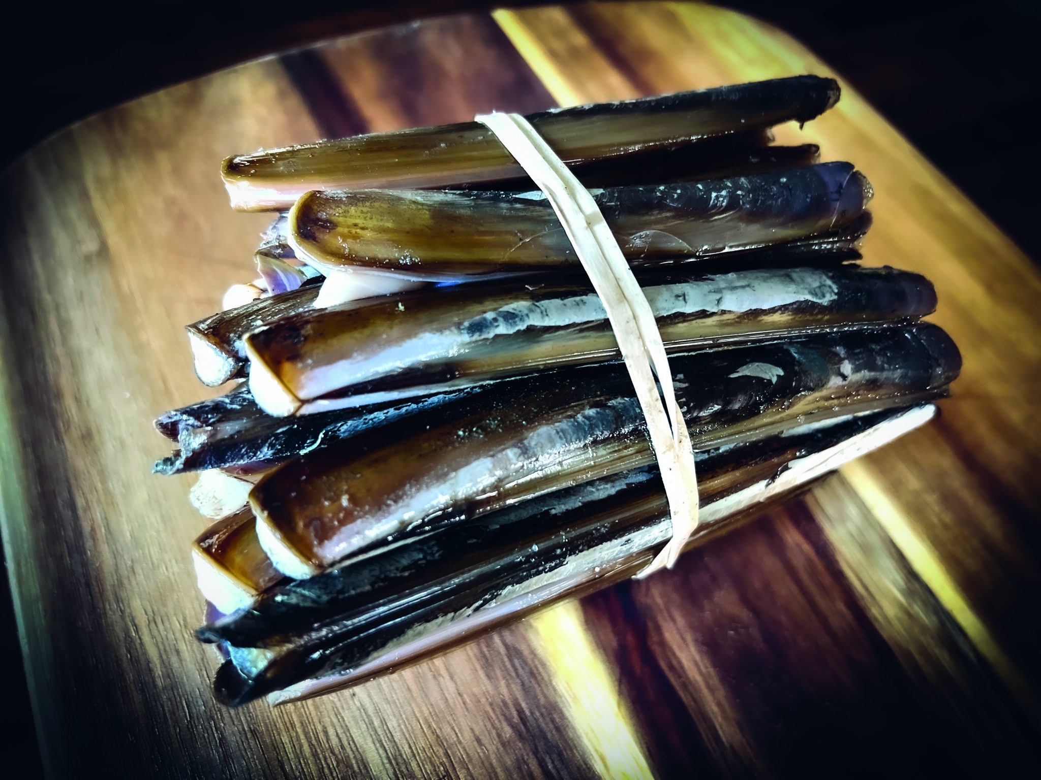Stout Razor Clam How to Harvest and Cook Razor Clams - On The Water