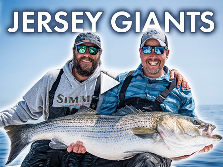 Big Plugs for BIG Stripers