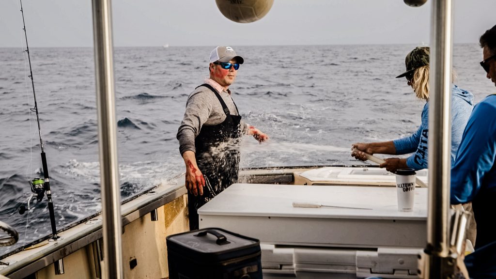 sea lice disinfection