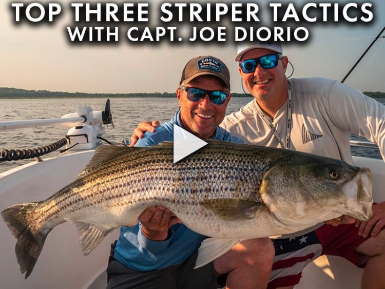 Joe Diorio's Top 3 Tactics for Big Stripers