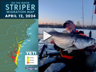 Daily Massachusetts Fishing Reports (April 2024)