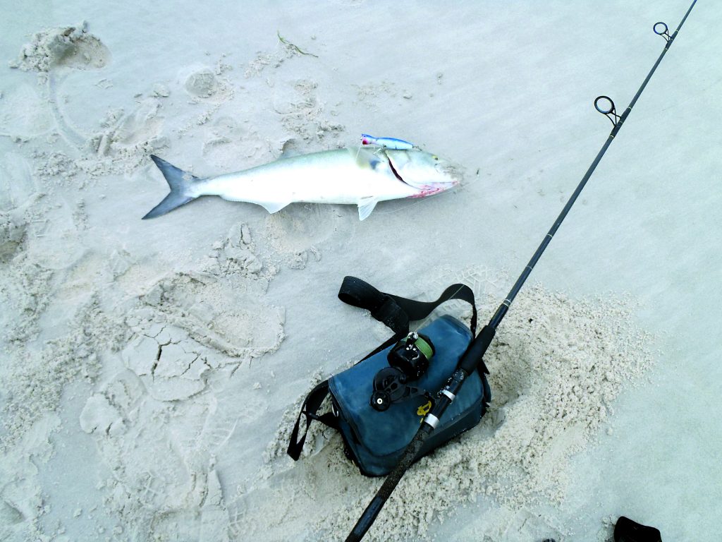 Early Spring Bluefish on Long Island's South Shore - On The Water