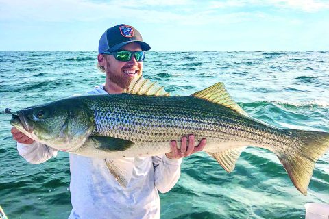 Soft-Plastic Eels for Big Striped Bass