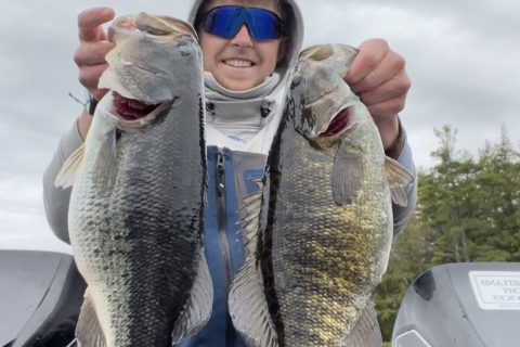 Patterning Spring Bass in Maine