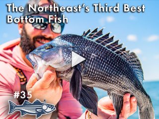 The Northeast's Third Best Bottom Fish | OTW Podcast #35