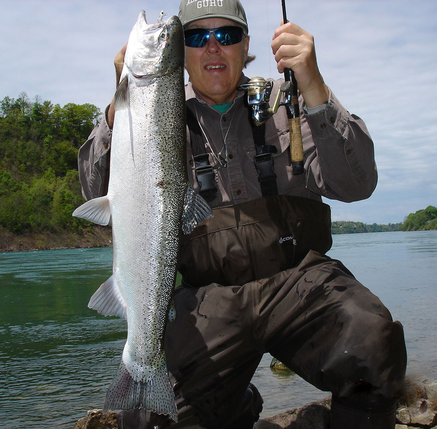 Mike Rzucidlo steelhead