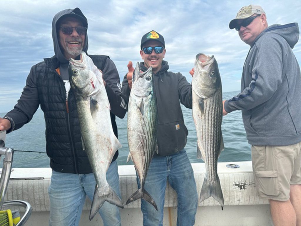 Little Sister Trifecta