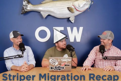 Striper Migration Recap- June 28, 2024