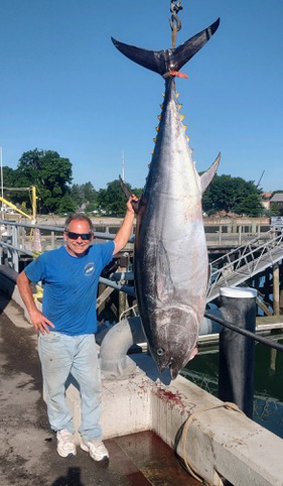 Adventureandcatch bluefin