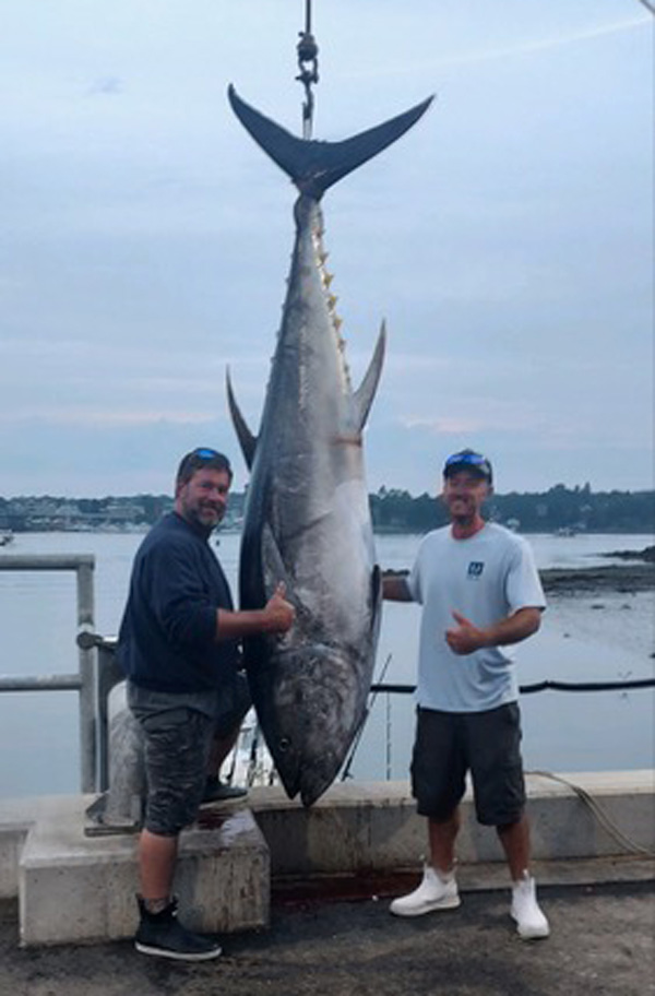Craig and Zachary Wallace with bluefin