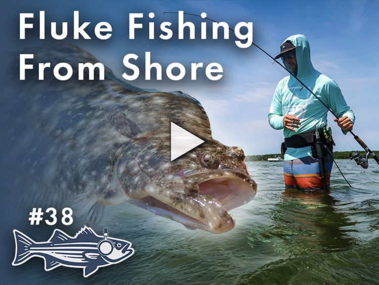 Podcast: Fluke Fishing From Shore