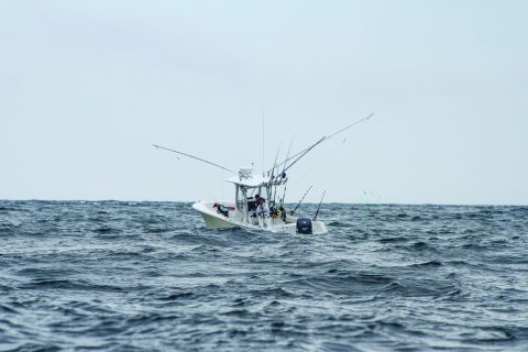 Tuna Fishing at &ldquo;The Dump&rdquo;