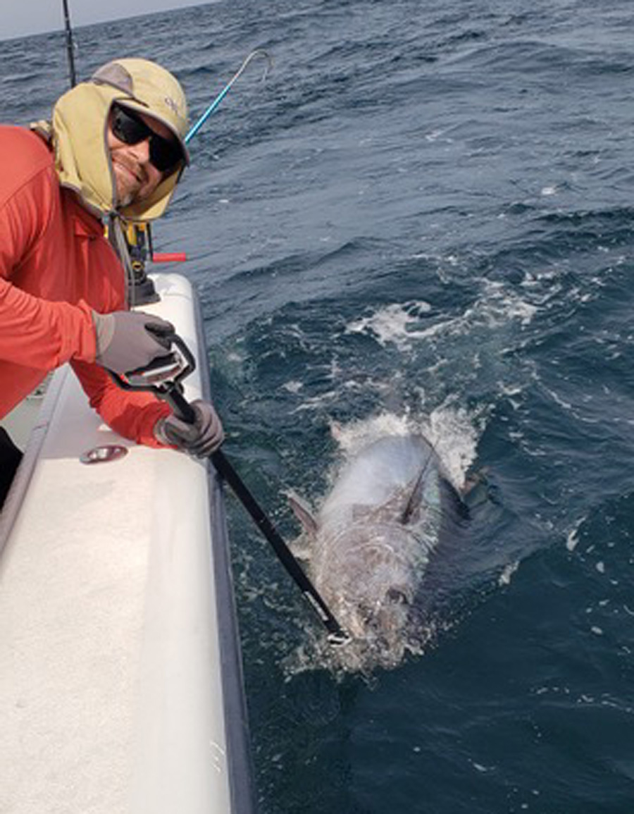 Andy Lynn releasing bluefin tuna