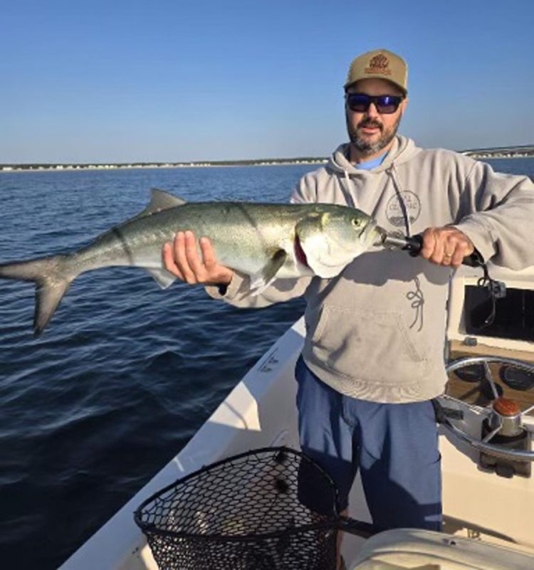 Captain Jay Dutremble with bluefish