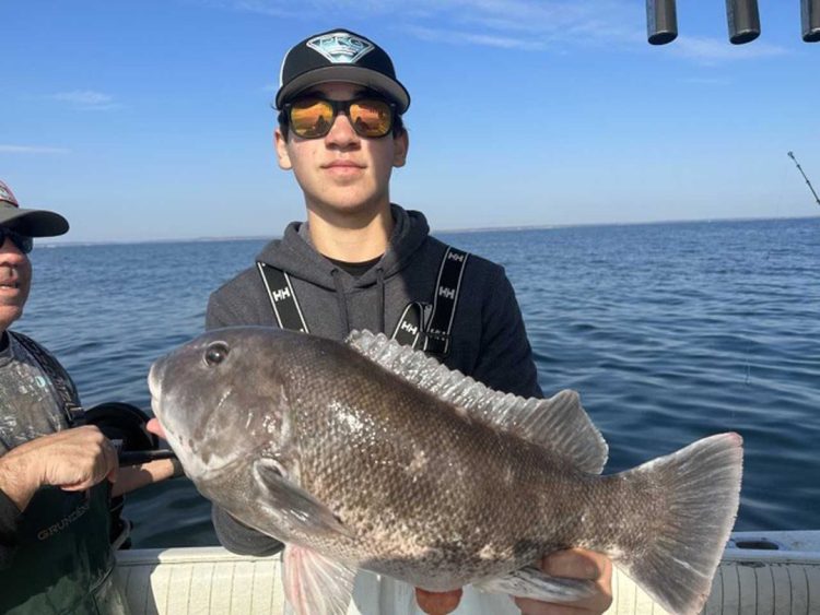 Little Sister tautog