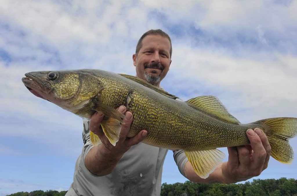 Capt. Dave Scipione with walleye