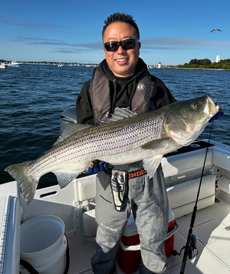 Tomo with striped bass