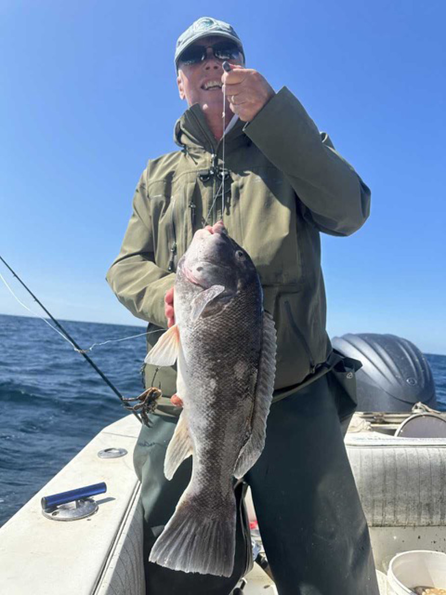 Little Sister tautog