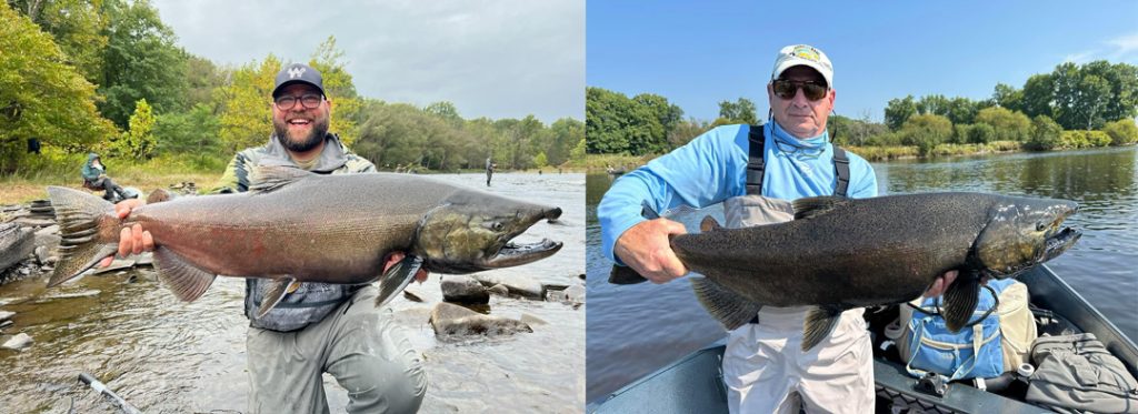 Salmon River chinook and king salmon
