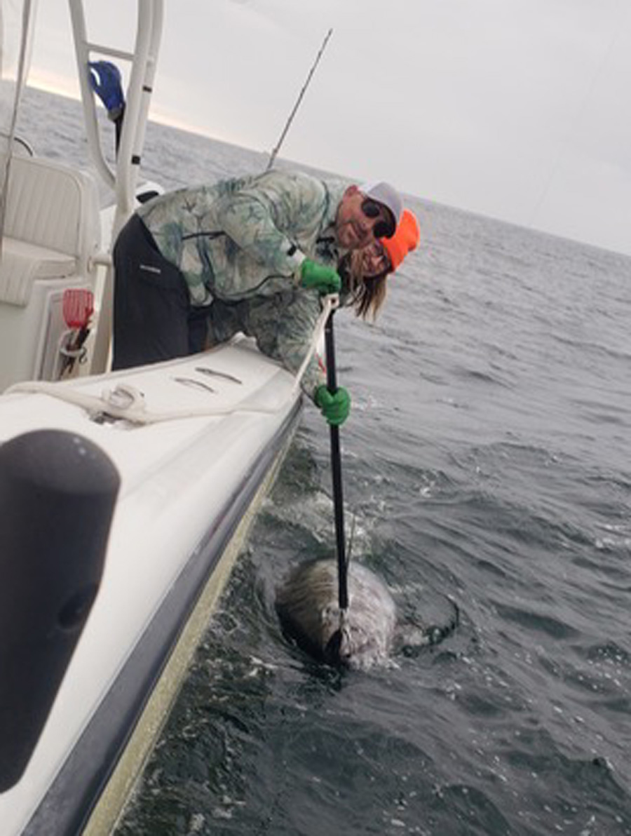 Seacoast NH Sportfishing bluefin tuna
