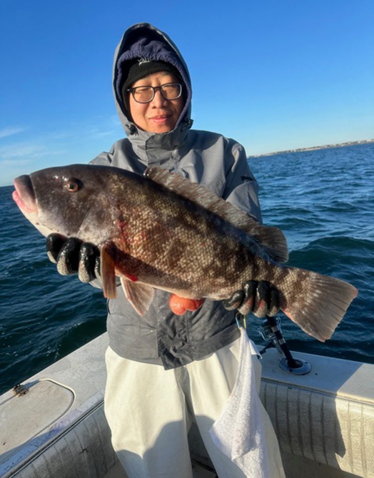 Little Sister tautog