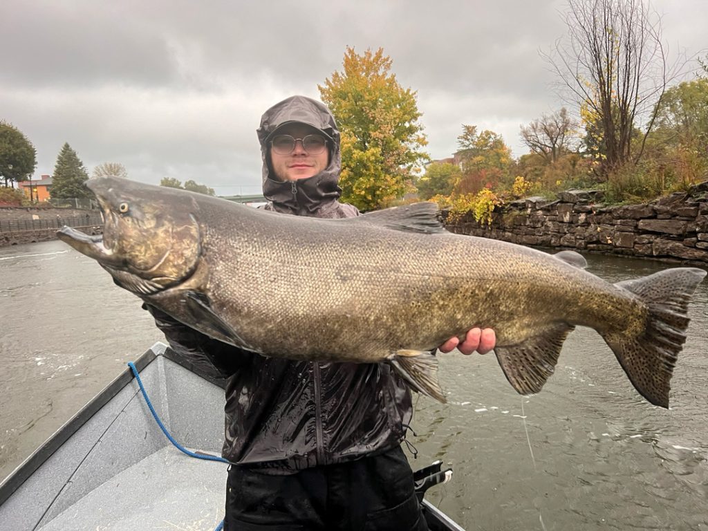 Oswego River chinook