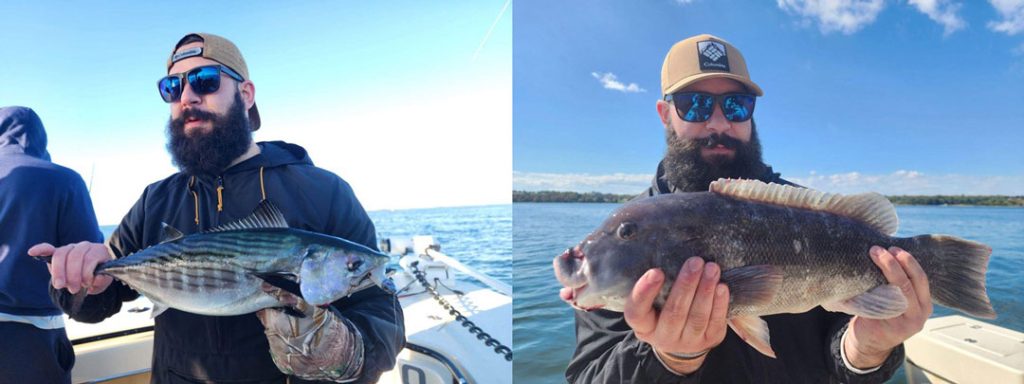 bonito and tautog