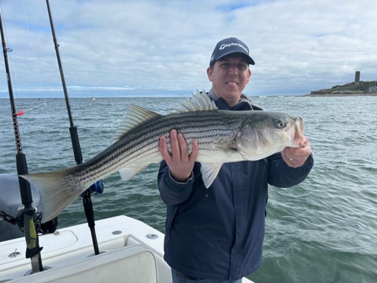 Legit Fish striped bass