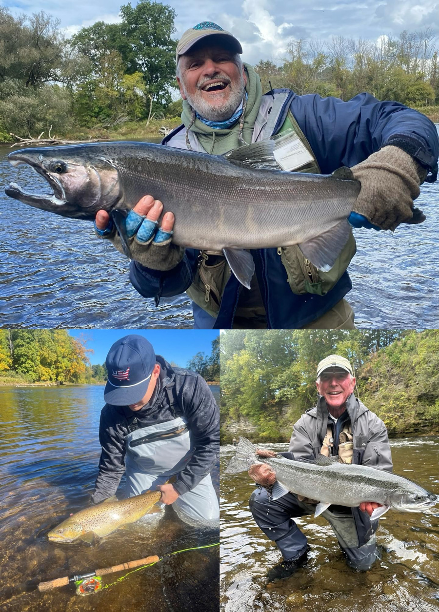 Salmon River species