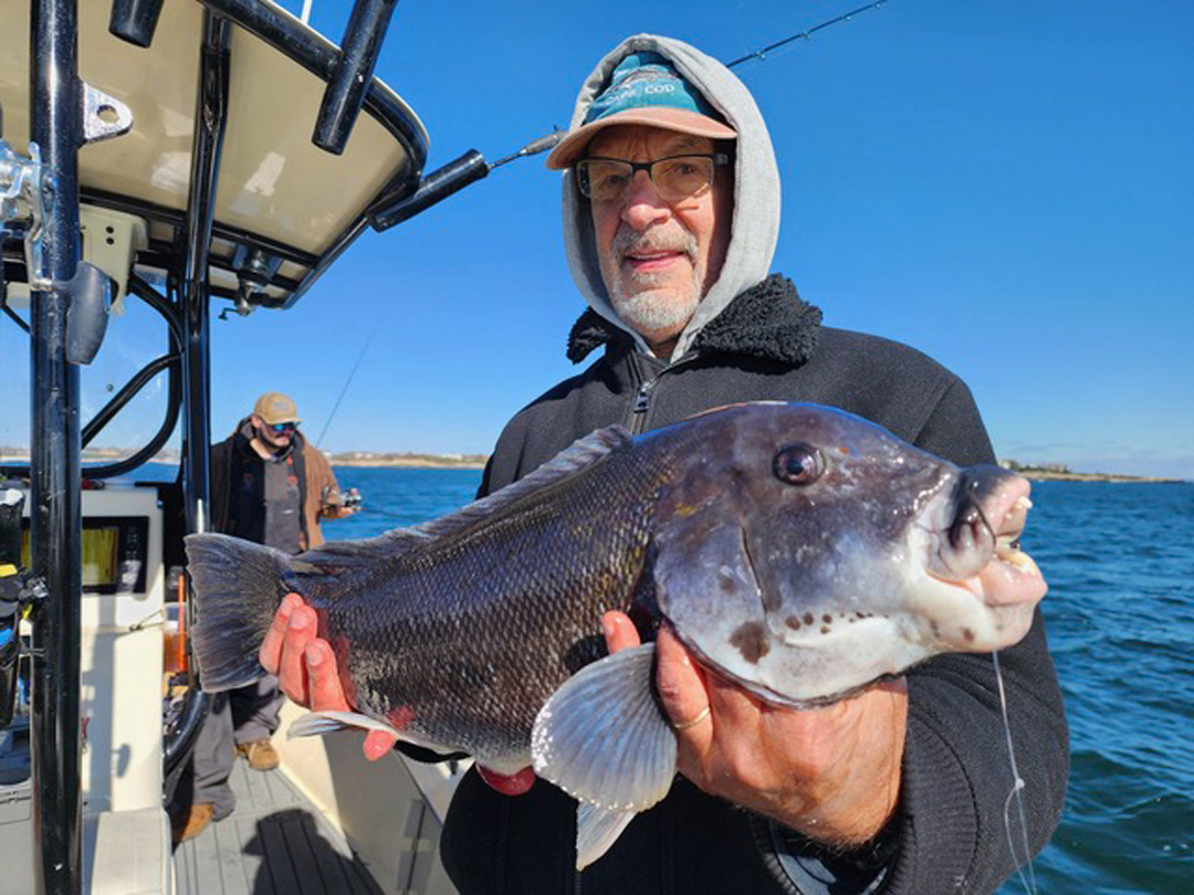 Get Tight Sportfishing tautog