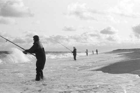 The Case For Big Wooden Plugs