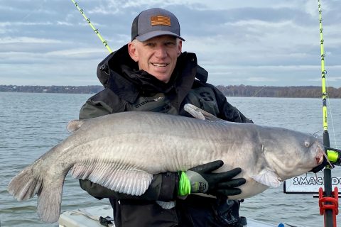 Maryland DNR Encourages Charter Captains to Kill More Blue Catfish