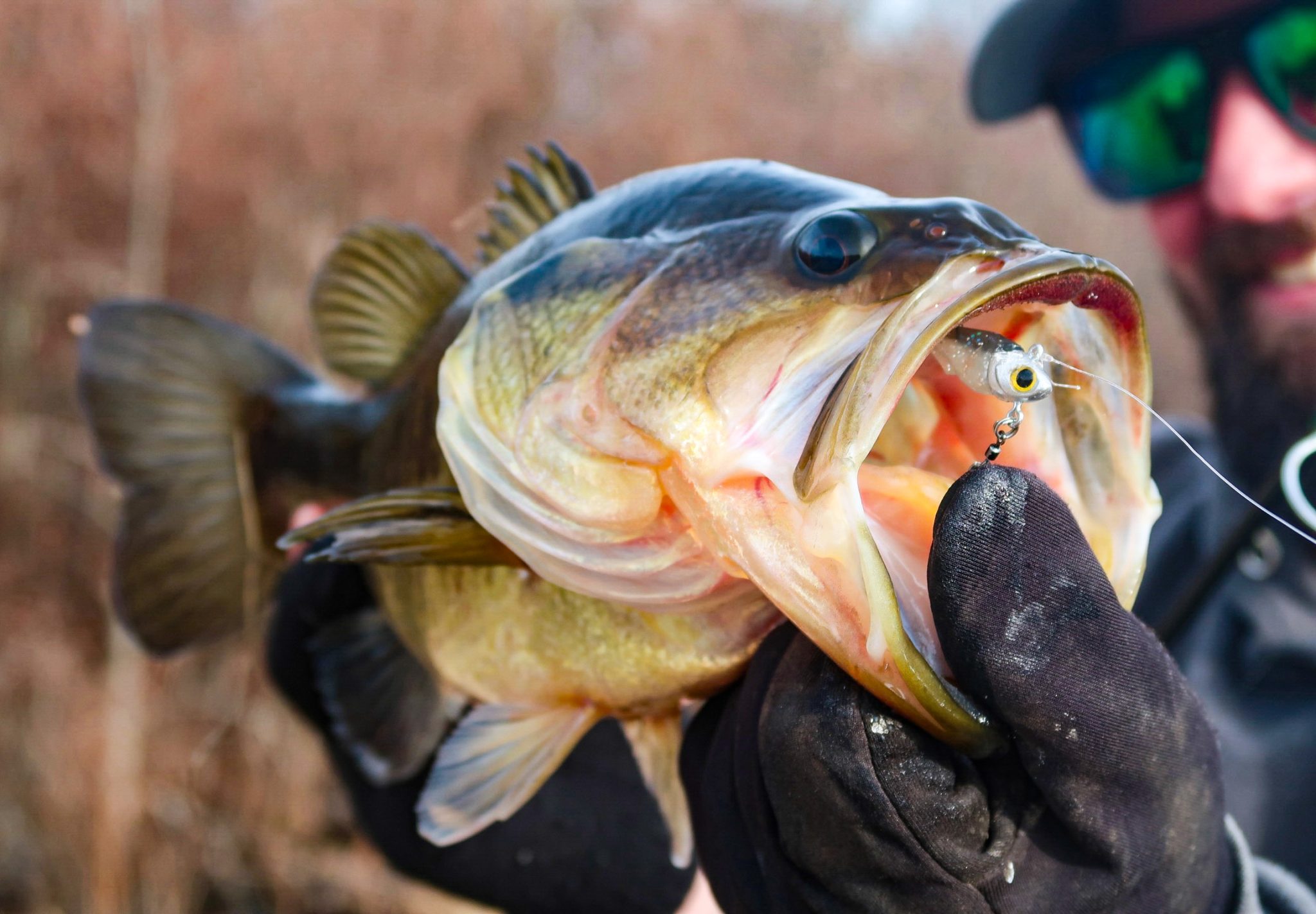 10 Essential Winter Bass Fishing Lures - On The Water