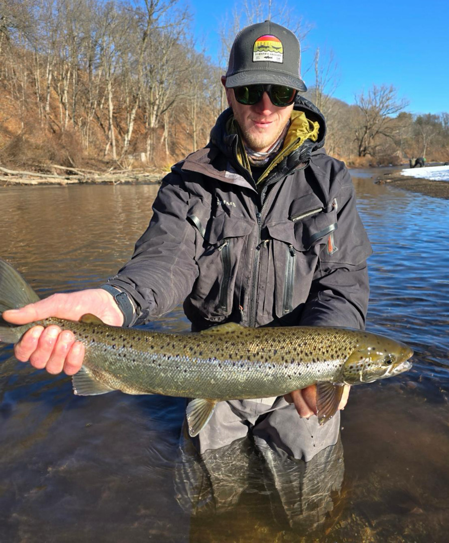 Post spawn Atlantic salmon