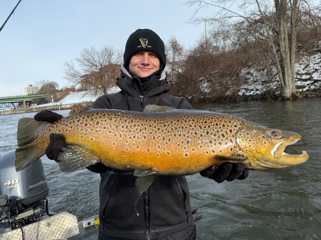 Chasin' Tail Adventures brown trout