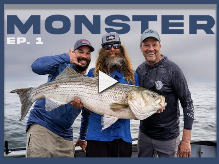 Monster Striped Bass Rob Taylor OTWAA S22E01